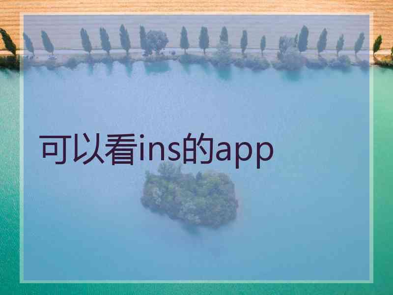 可以看ins的app