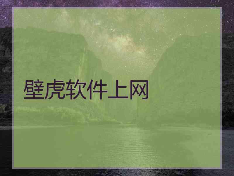 壁虎软件上网