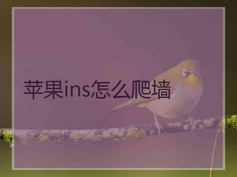 苹果ins怎么爬墙
