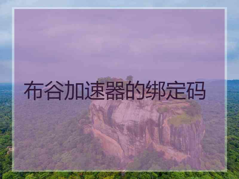 布谷加速器的绑定码