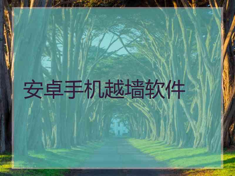 安卓手机越墙软件