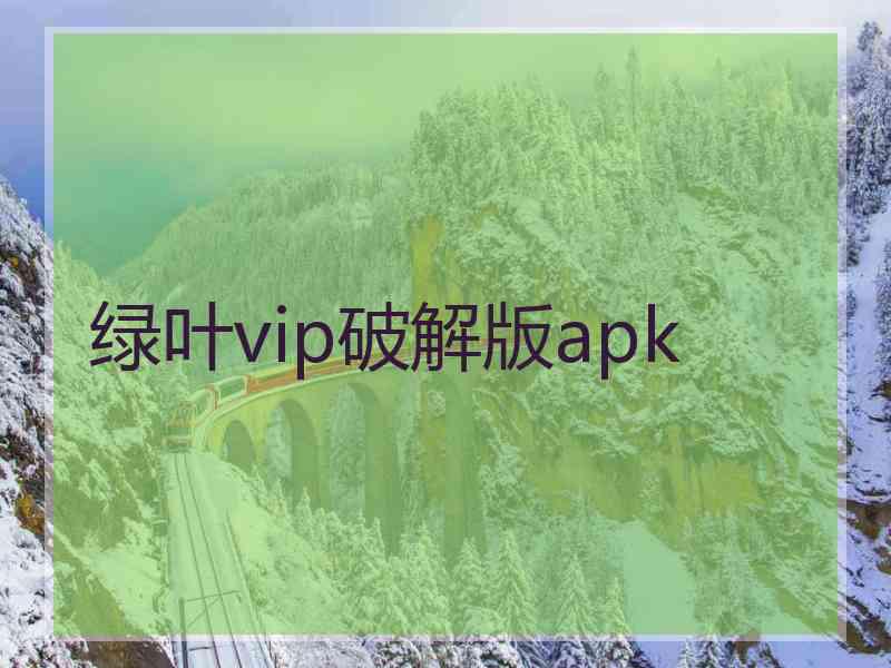 绿叶vip破解版apk