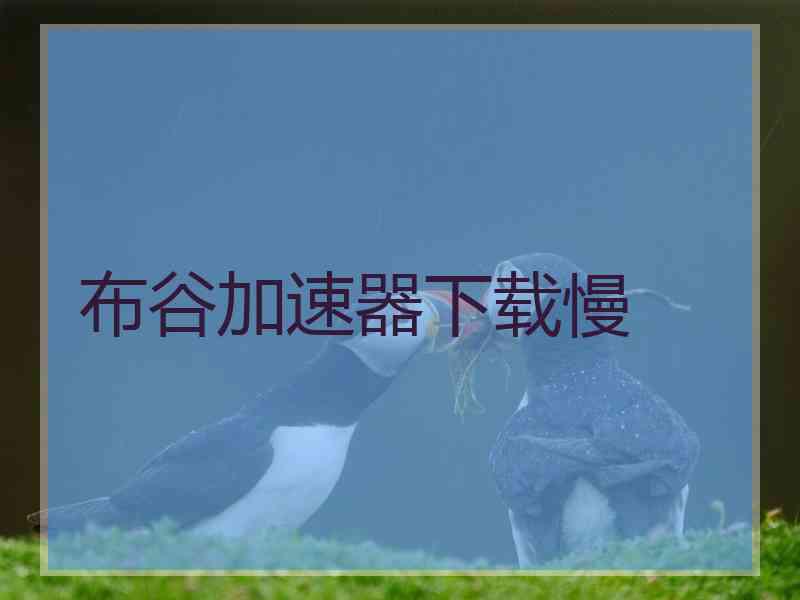 布谷加速器下载慢