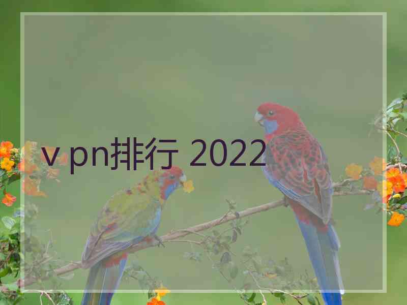 ⅴpn排行 2022