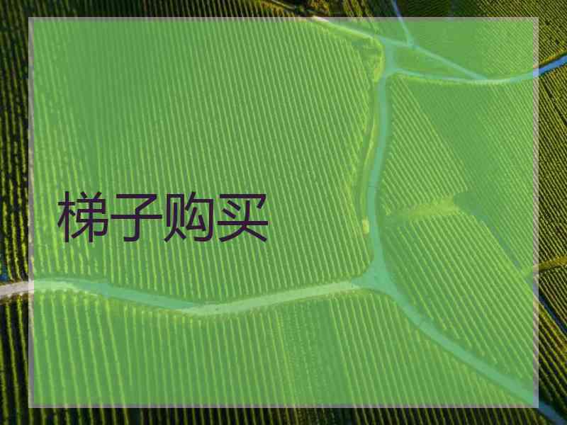 梯子购买