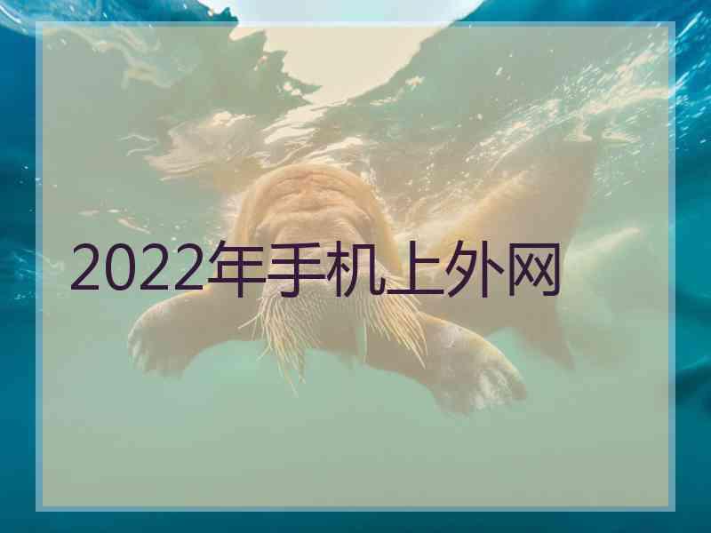 2022年手机上外网