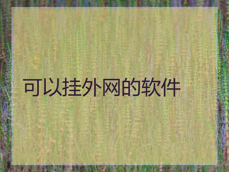 可以挂外网的软件