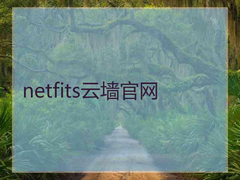 netfits云墙官网