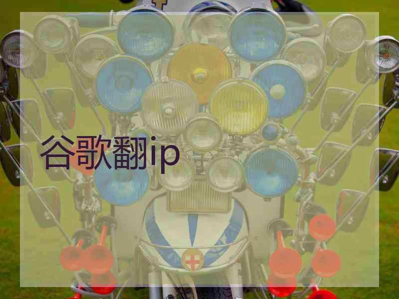 谷歌翻ip