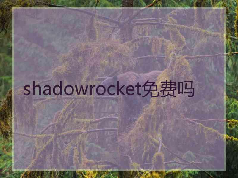 shadowrocket免费吗