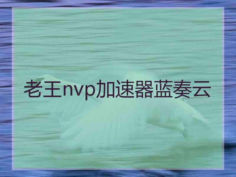 老王nvp加速器蓝奏云