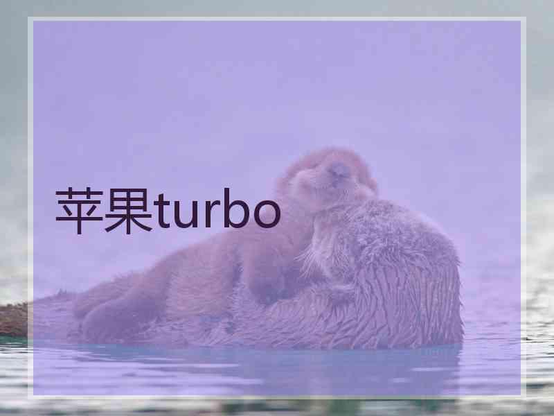 苹果turbo