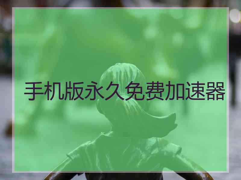 手机版永久免费加速器