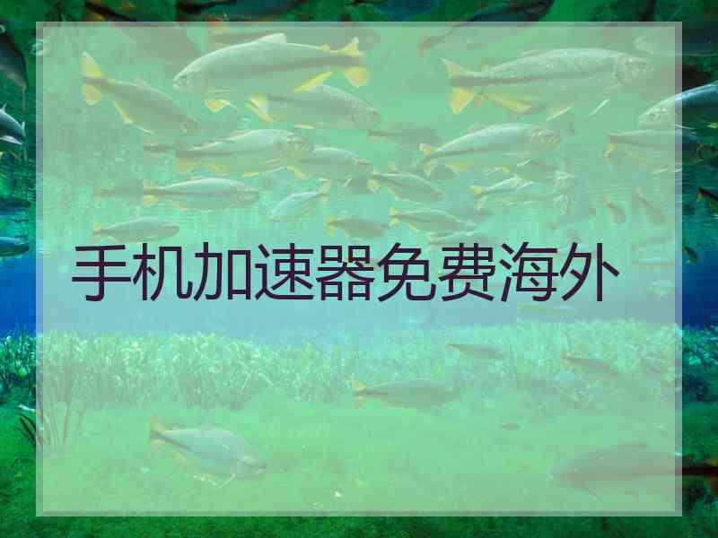 手机加速器免费海外
