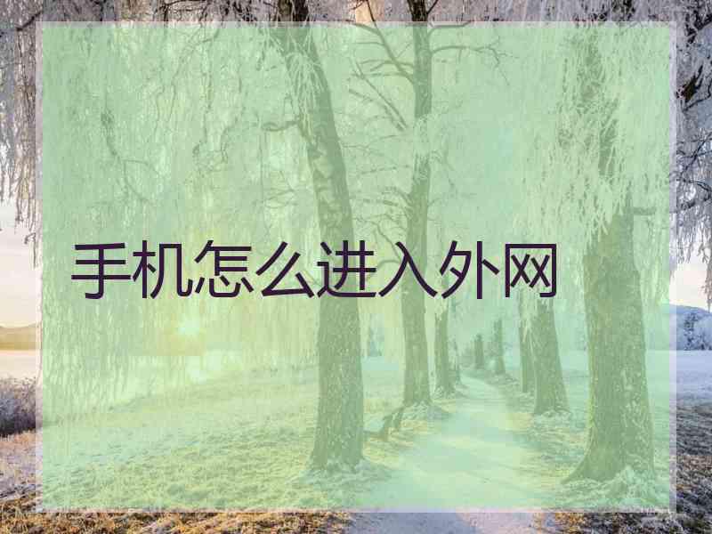 手机怎么进入外网