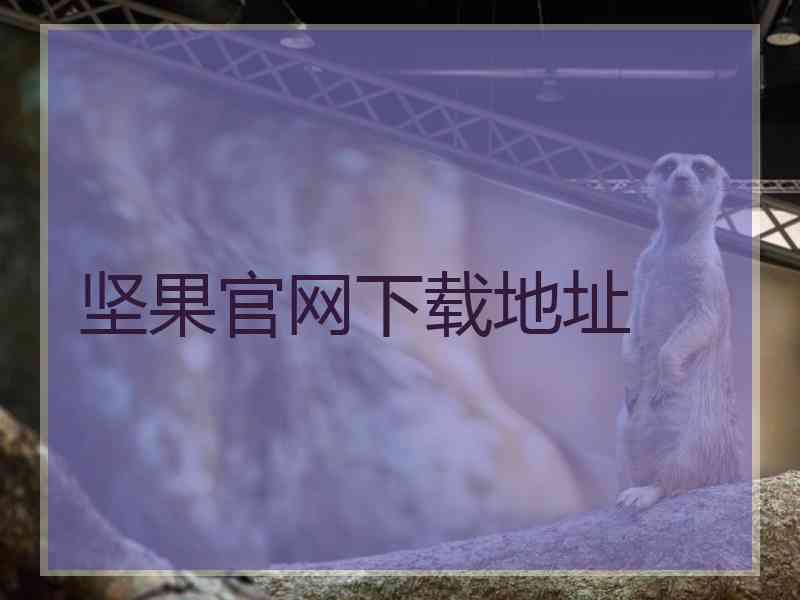 坚果官网下载地址