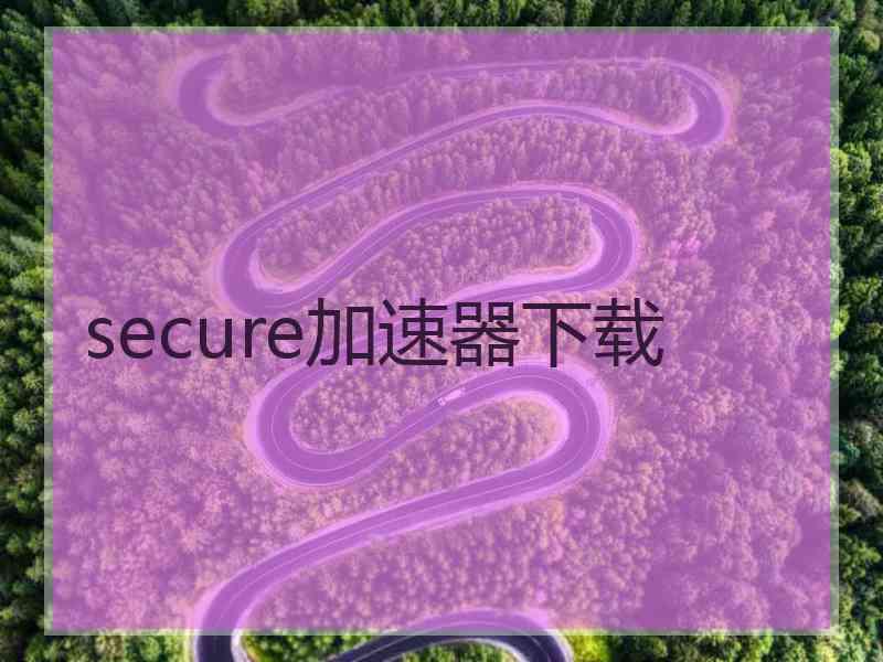 secure加速器下载