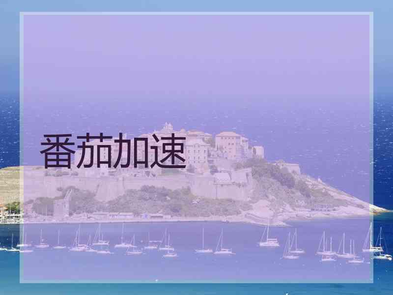 番茄加速