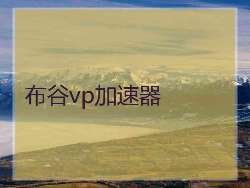 布谷vp加速器