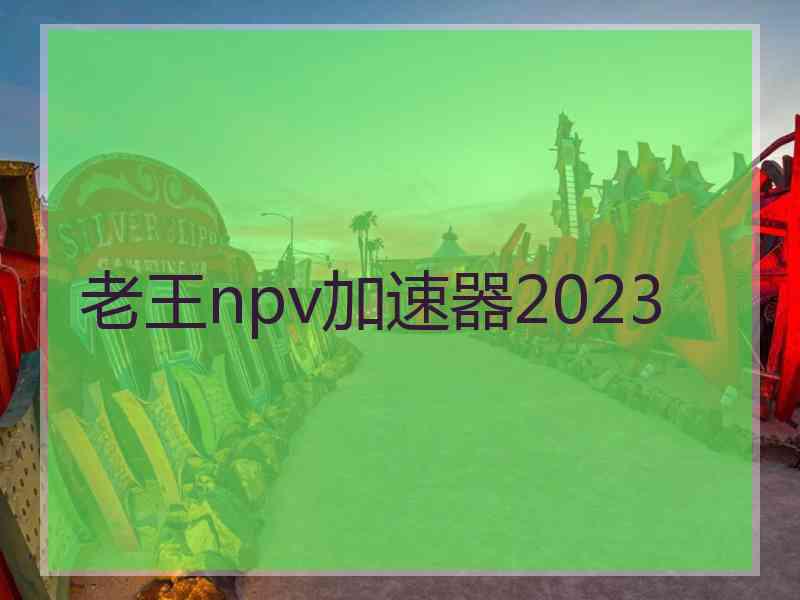 老王npv加速器2023