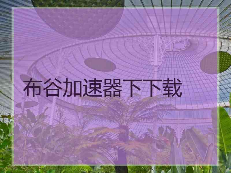 布谷加速器下下载