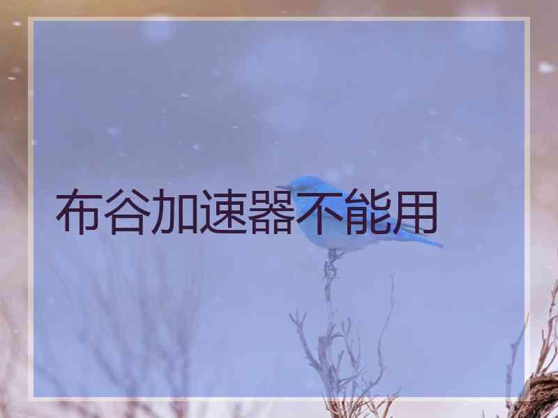 布谷加速器不能用