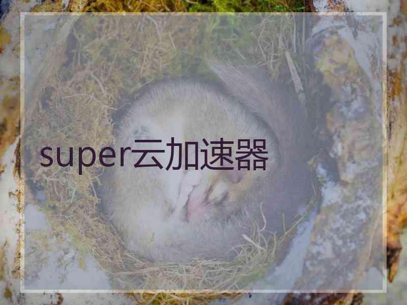 super云加速器