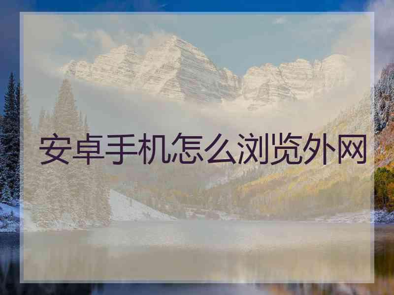 安卓手机怎么浏览外网