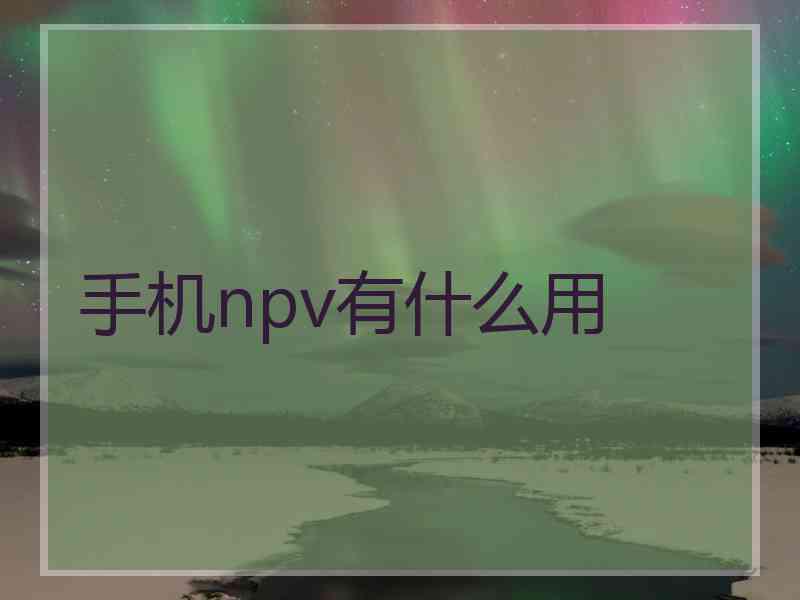 手机npv有什么用