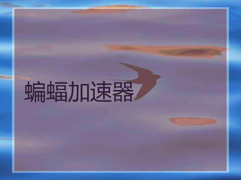 蝙蝠加速器