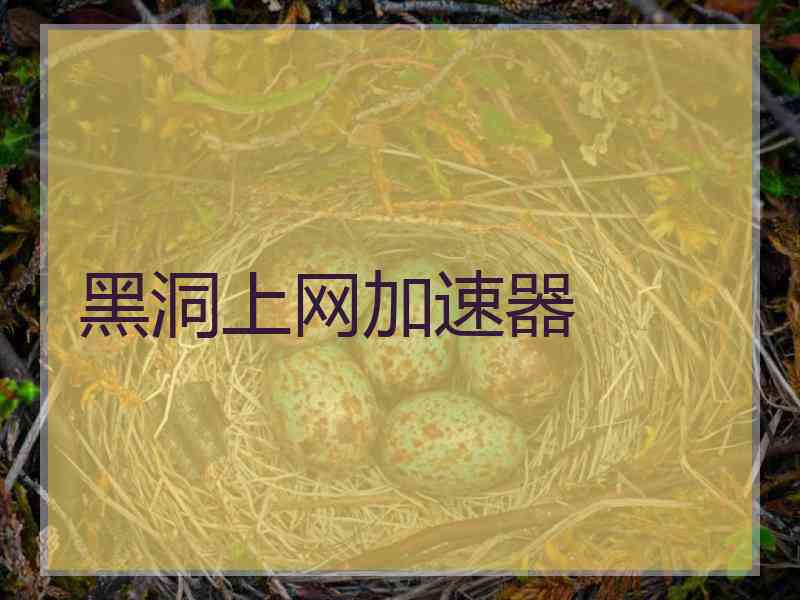 黑洞上网加速器