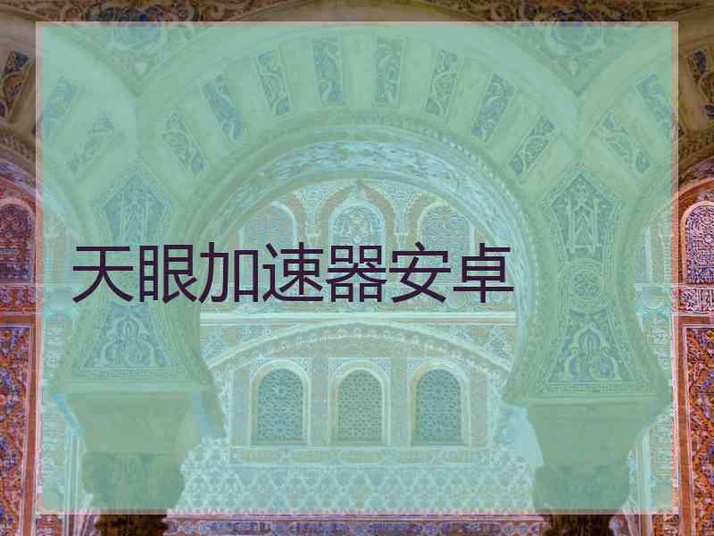 天眼加速器安卓