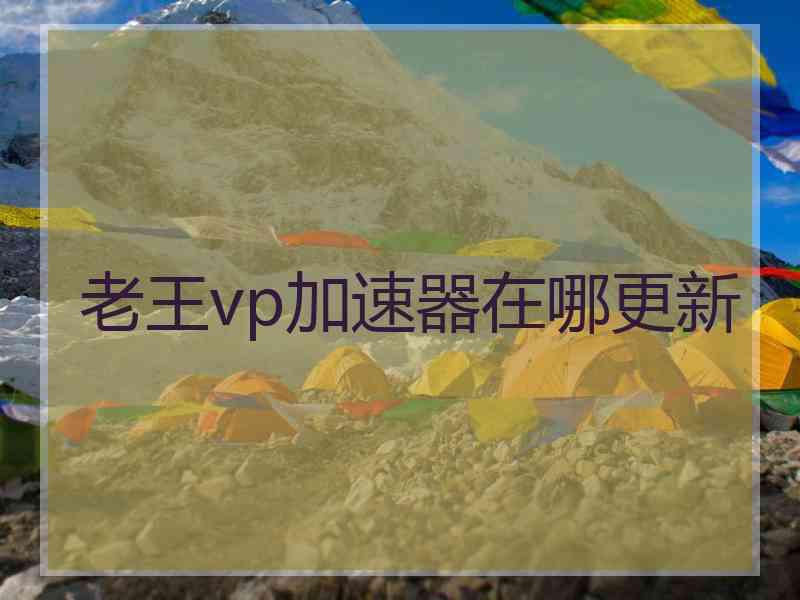 老王vp加速器在哪更新