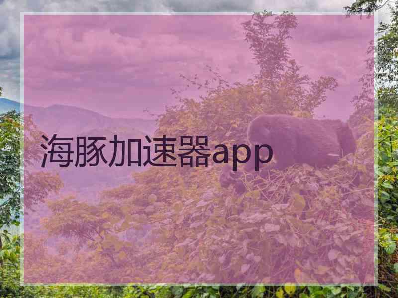 海豚加速器app