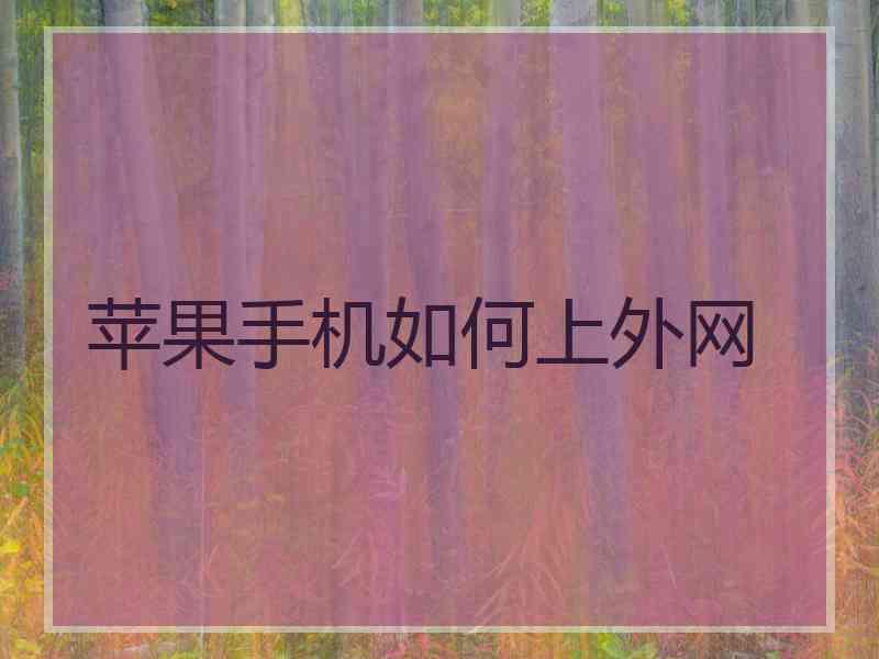 苹果手机如何上外网