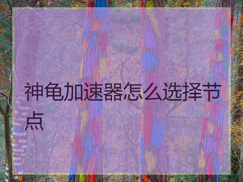 神龟加速器怎么选择节点