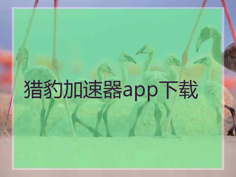 猎豹加速器app下载