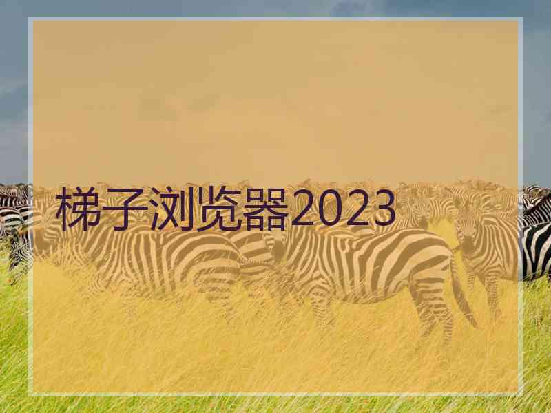 梯子浏览器2023