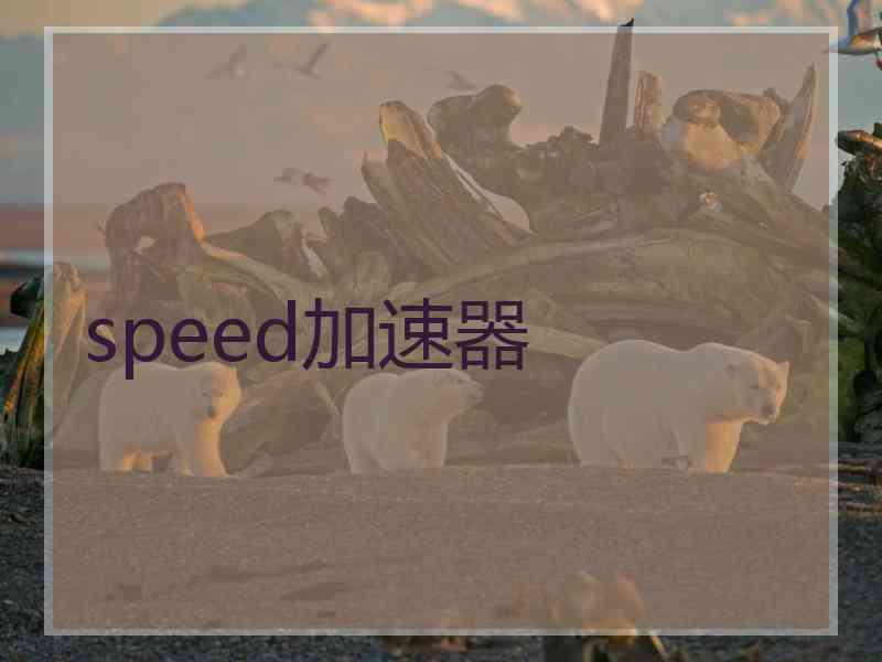 speed加速器