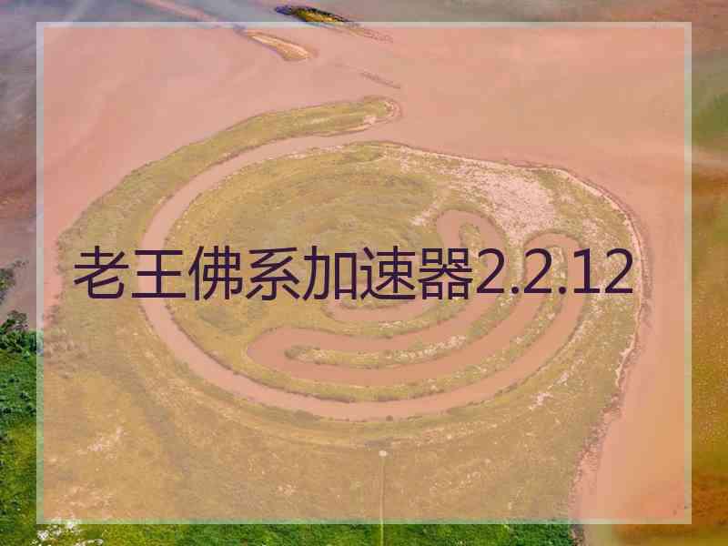 老王佛系加速器2.2.12
