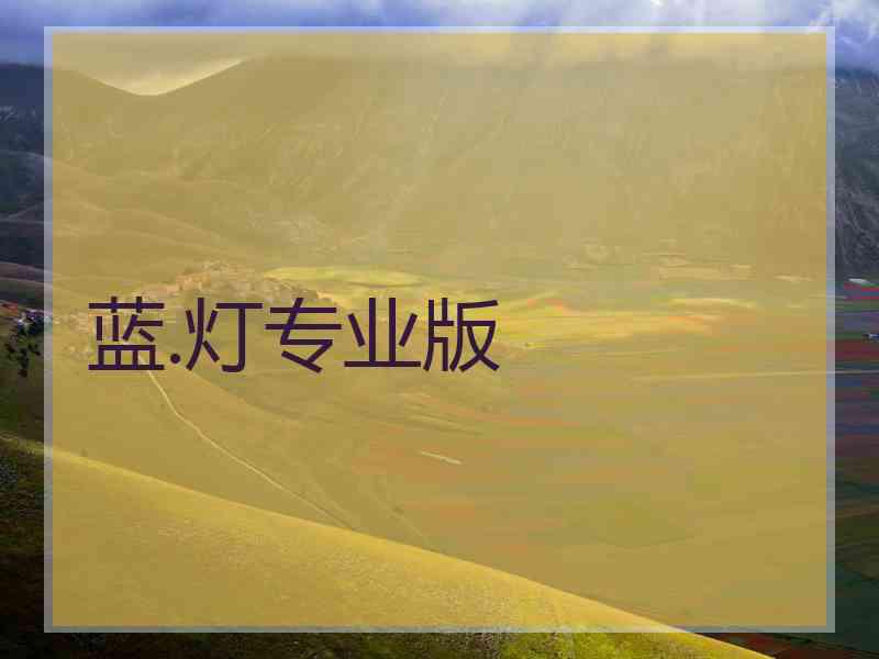 蓝.灯专业版