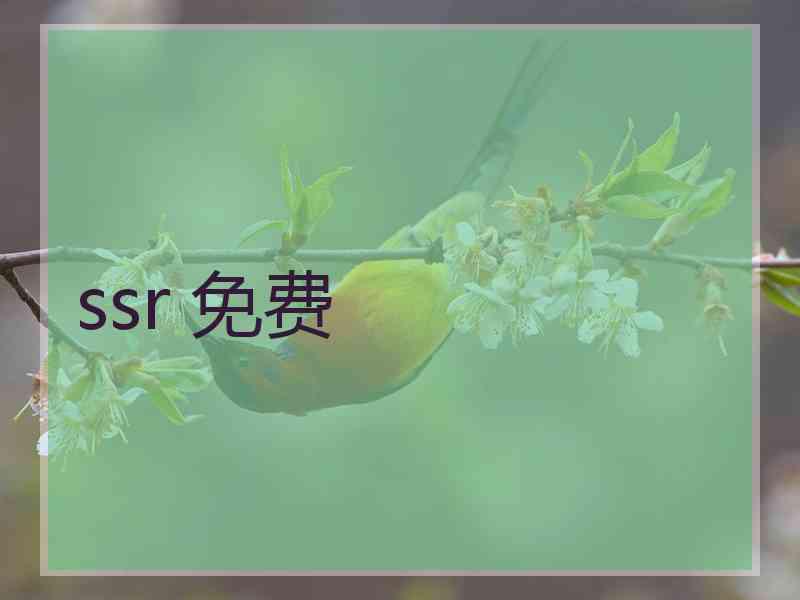 ssr 免费