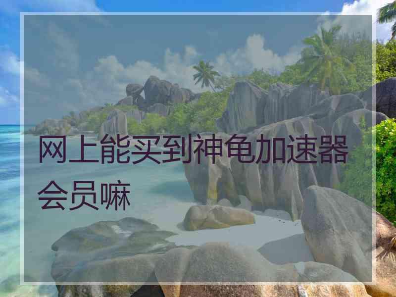 网上能买到神龟加速器会员嘛