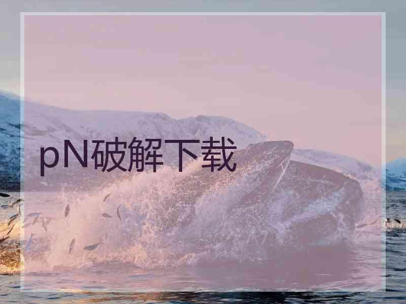 pN破解下载
