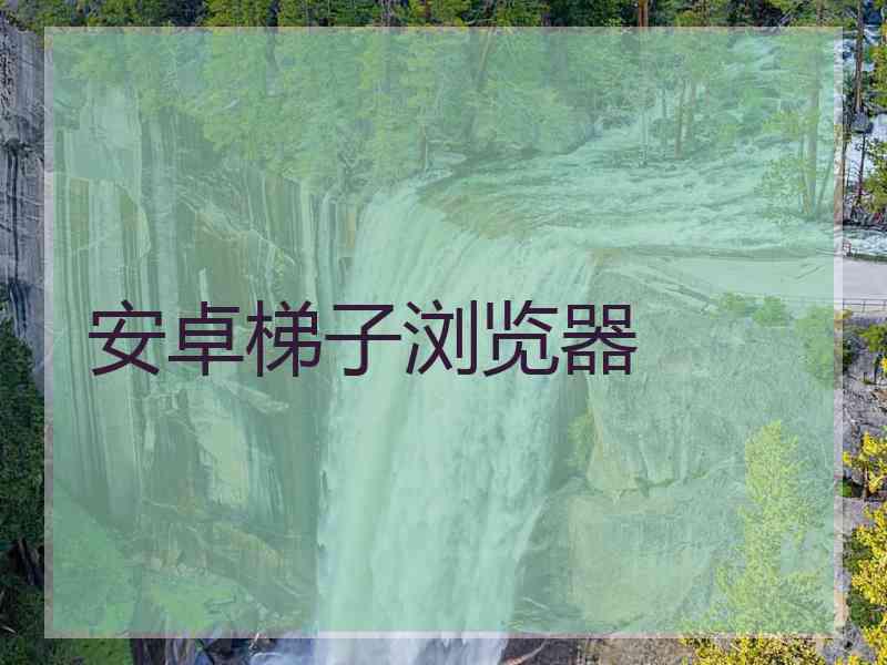 安卓梯子浏览器