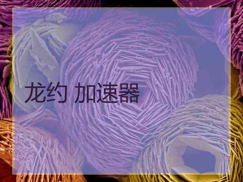 龙约 加速器