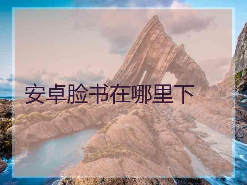 安卓脸书在哪里下