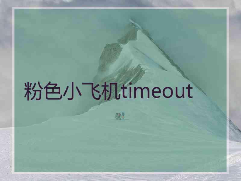 粉色小飞机timeout