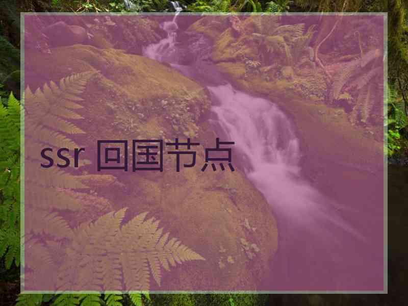 ssr 回国节点