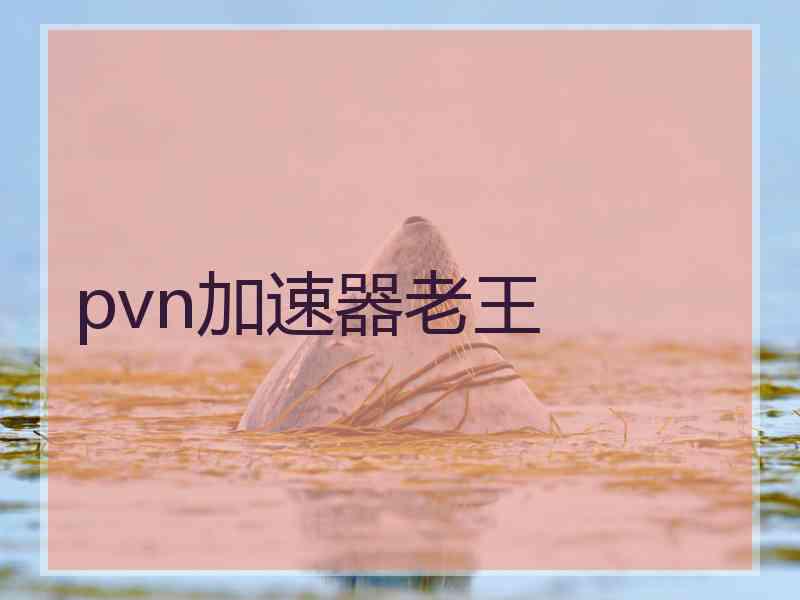 pvn加速器老王